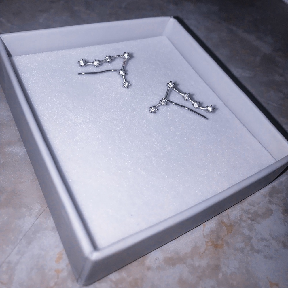 Silver Constellation Pisces Zodiac Earrings